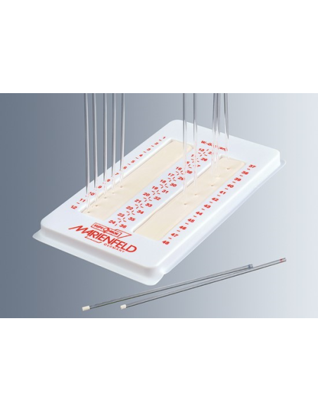 PLACA PLASTICINA ASSISTENT (EMB. 2 UNID)