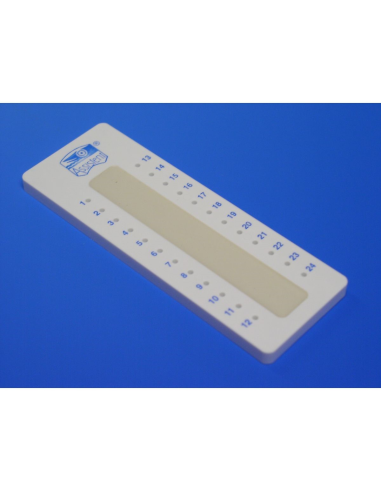 PLACA PLASTICINA CX.10 ASSISTENT 40566010