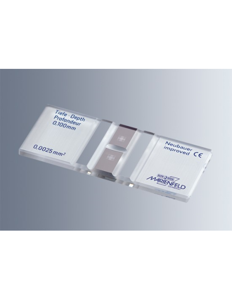 CAMARA CONTAGEM N.I.B.L. SUP. 0640030 (with bright lines)